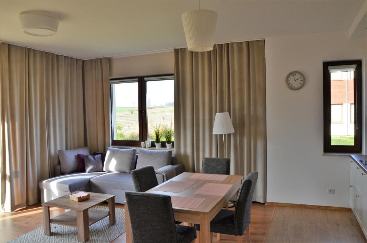 Komfort Apartament Nałęczów Екстериор снимка